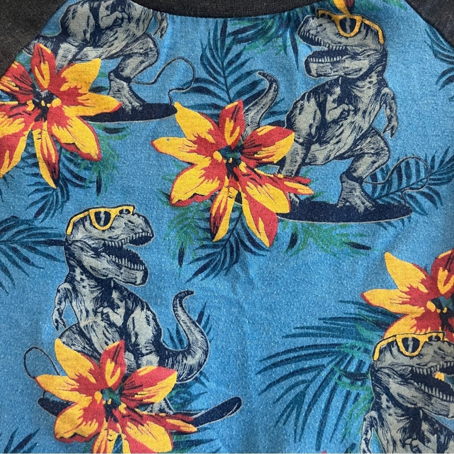 Huntington Beach Dinosaur Shirt Toddler Boys Size 2T Tropical Island Travel Boat