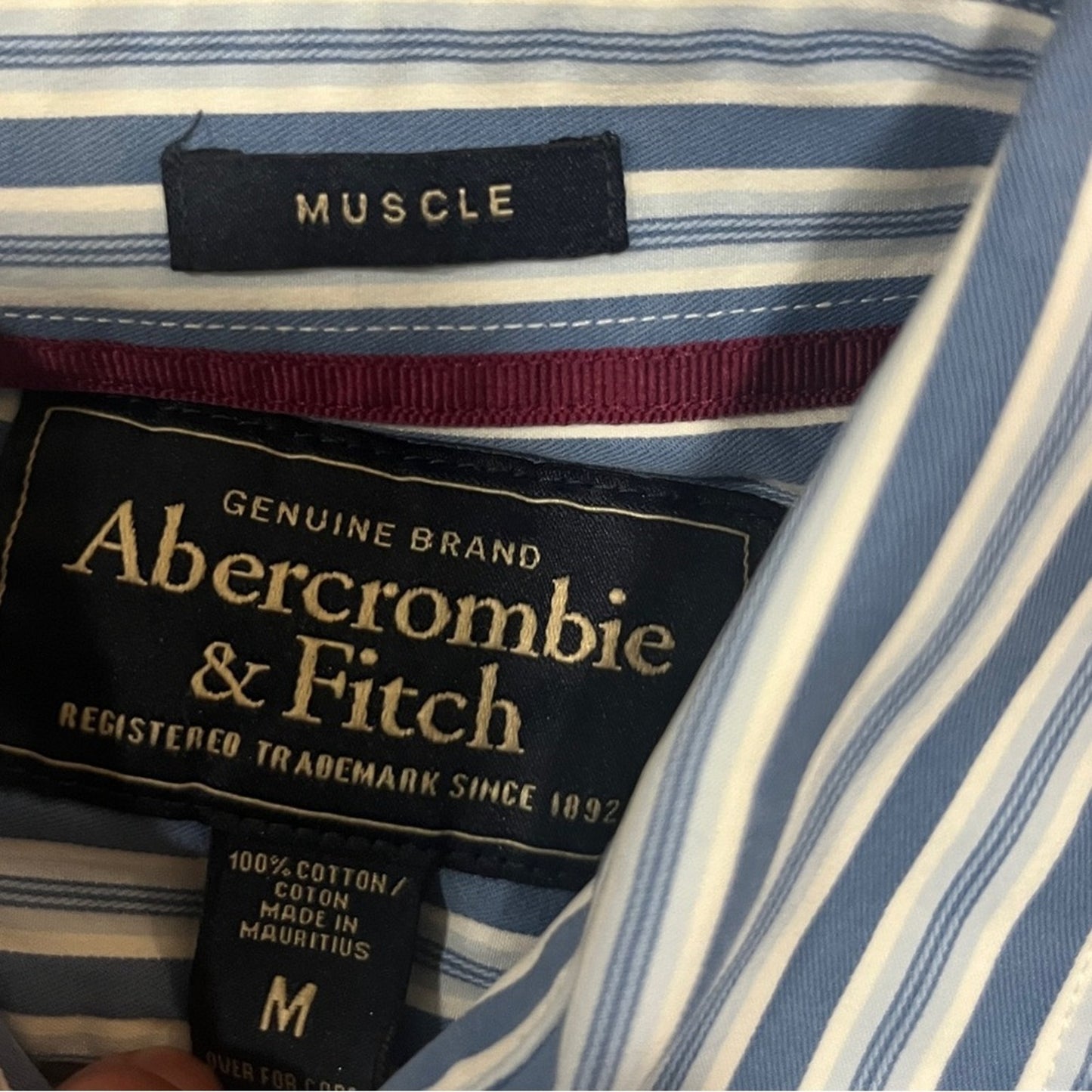 Abercrombie & Fitch Muscle Long Sleeve Button Down Shirt Blue White Stripes Med