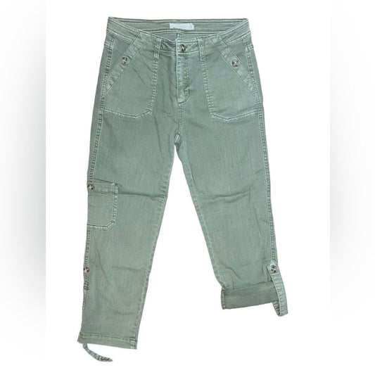 TGLA Green Cropped Pants Size 27