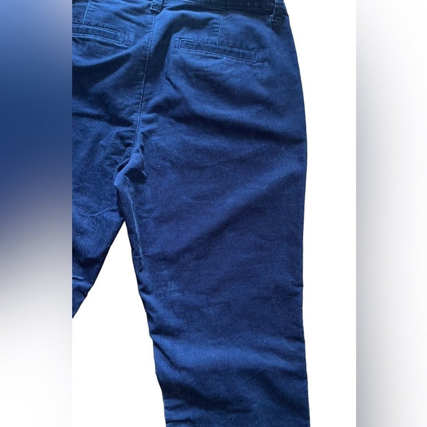 A New Day Womens Size 4 Navy Corduroy Flat Front Stretch Pants 