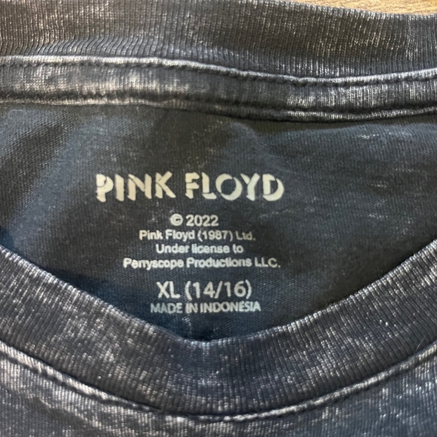 Pink Floyd Graphic T Shirt Kids XL 14/16 Black Gray Dark Side Of The Moon Casual