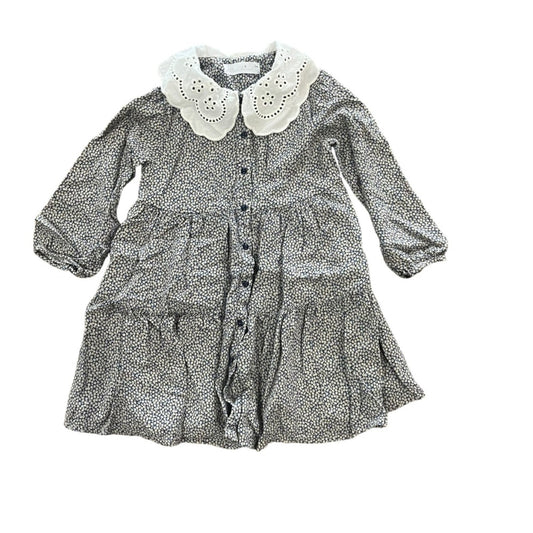 ZARA Kids Dress Size 6 Floral Peter Pan Collar Long Sleeve Front Buttons Lining