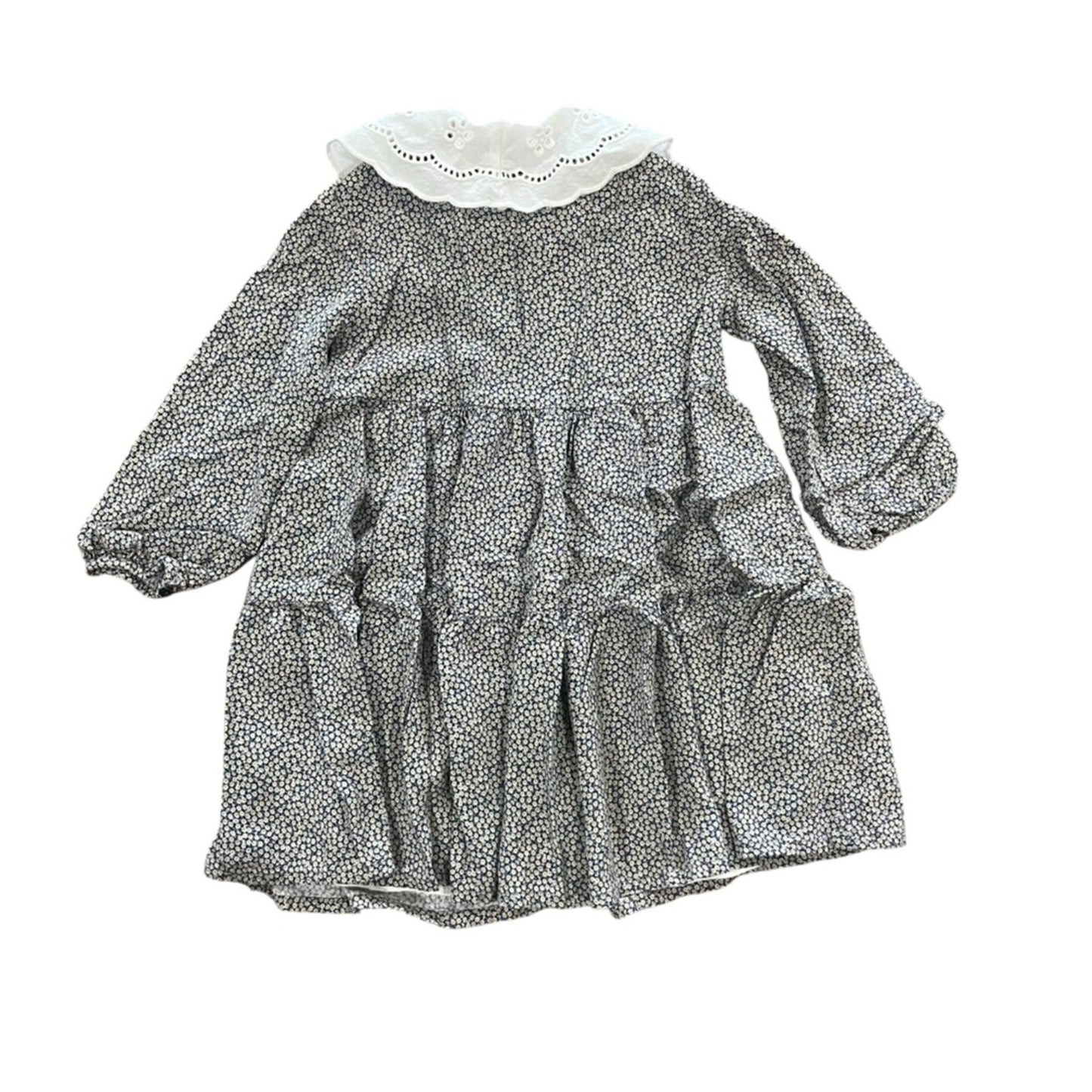 ZARA Kids Dress Size 6 Floral Peter Pan Collar Long Sleeve Front Buttons Lining