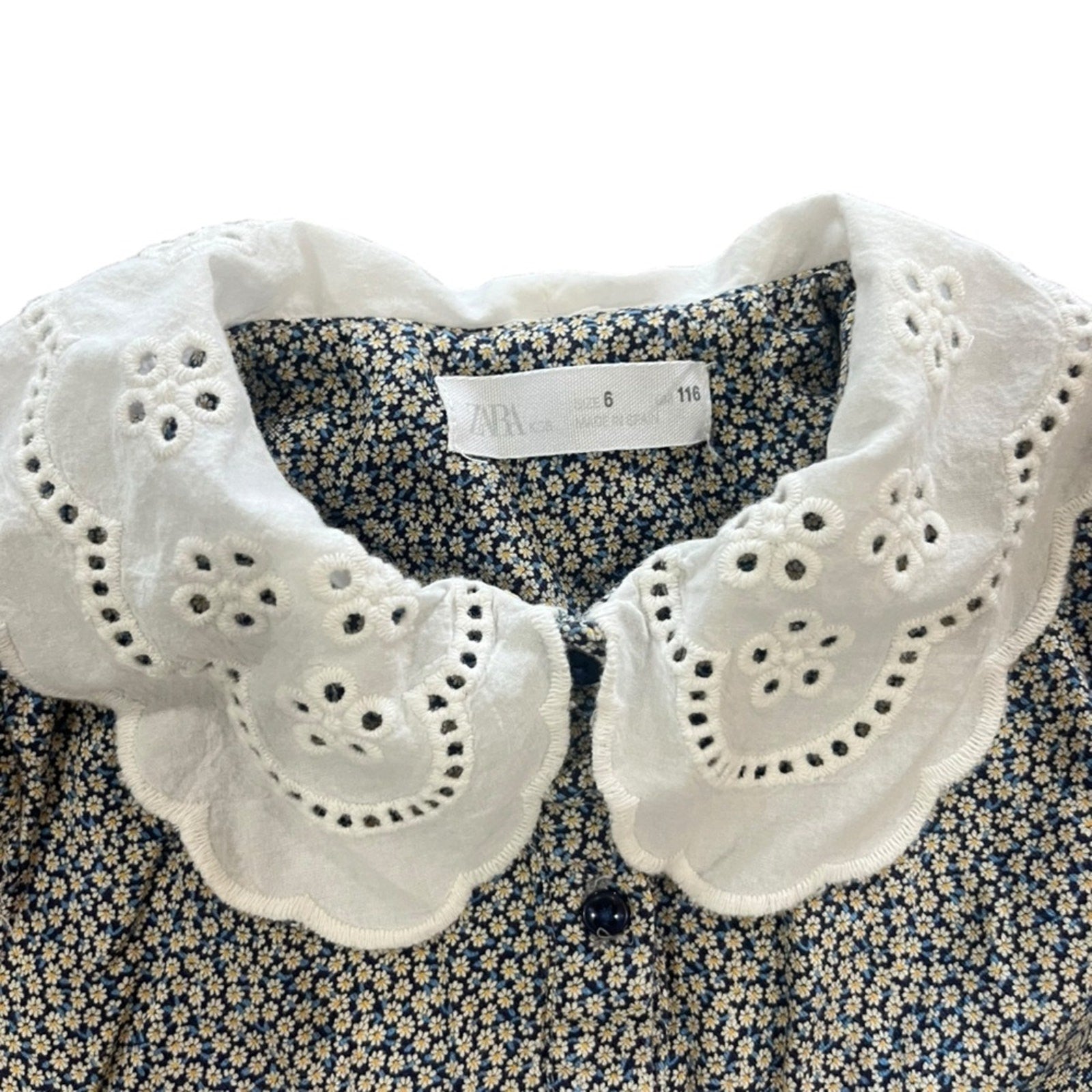 ZARA Kids Dress Size 6 Floral Peter Pan Collar Long Sleeve Front Buttons Lining